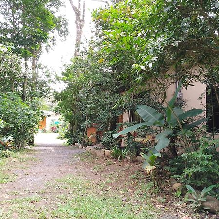 Casitas Del Bosque Monteverde. Rom bilde