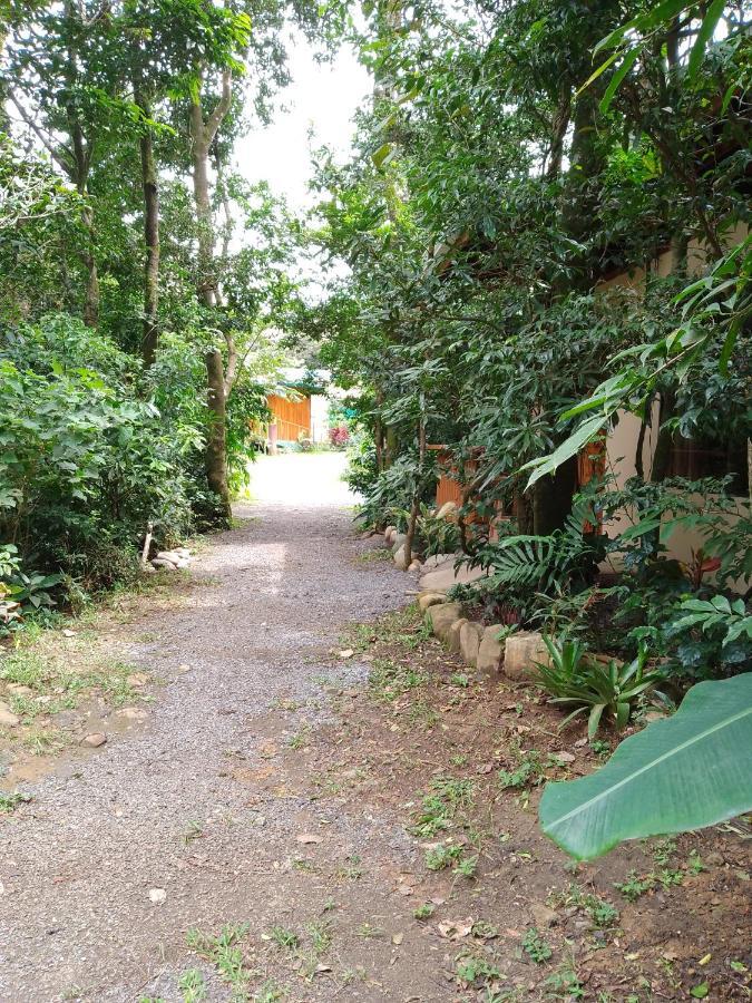 Casitas Del Bosque Monteverde. Eksteriør bilde